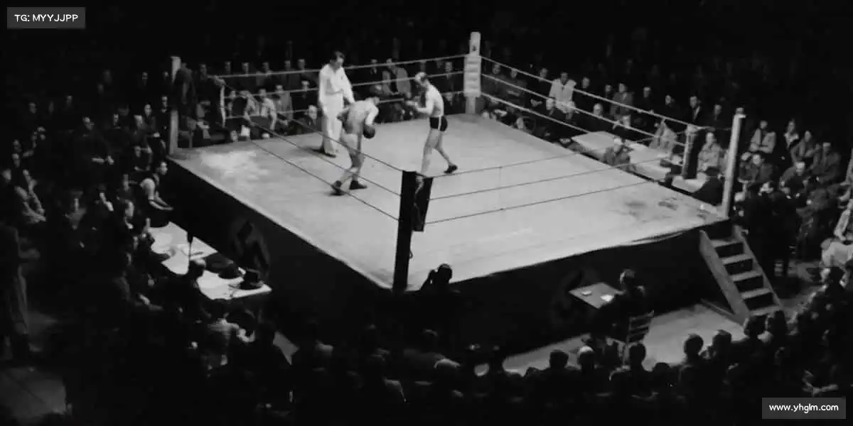 为什么选择我们